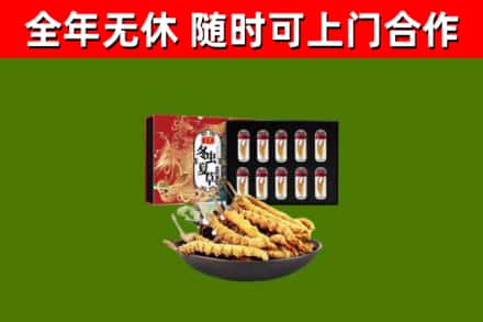 城口县回收冬虫夏草价格